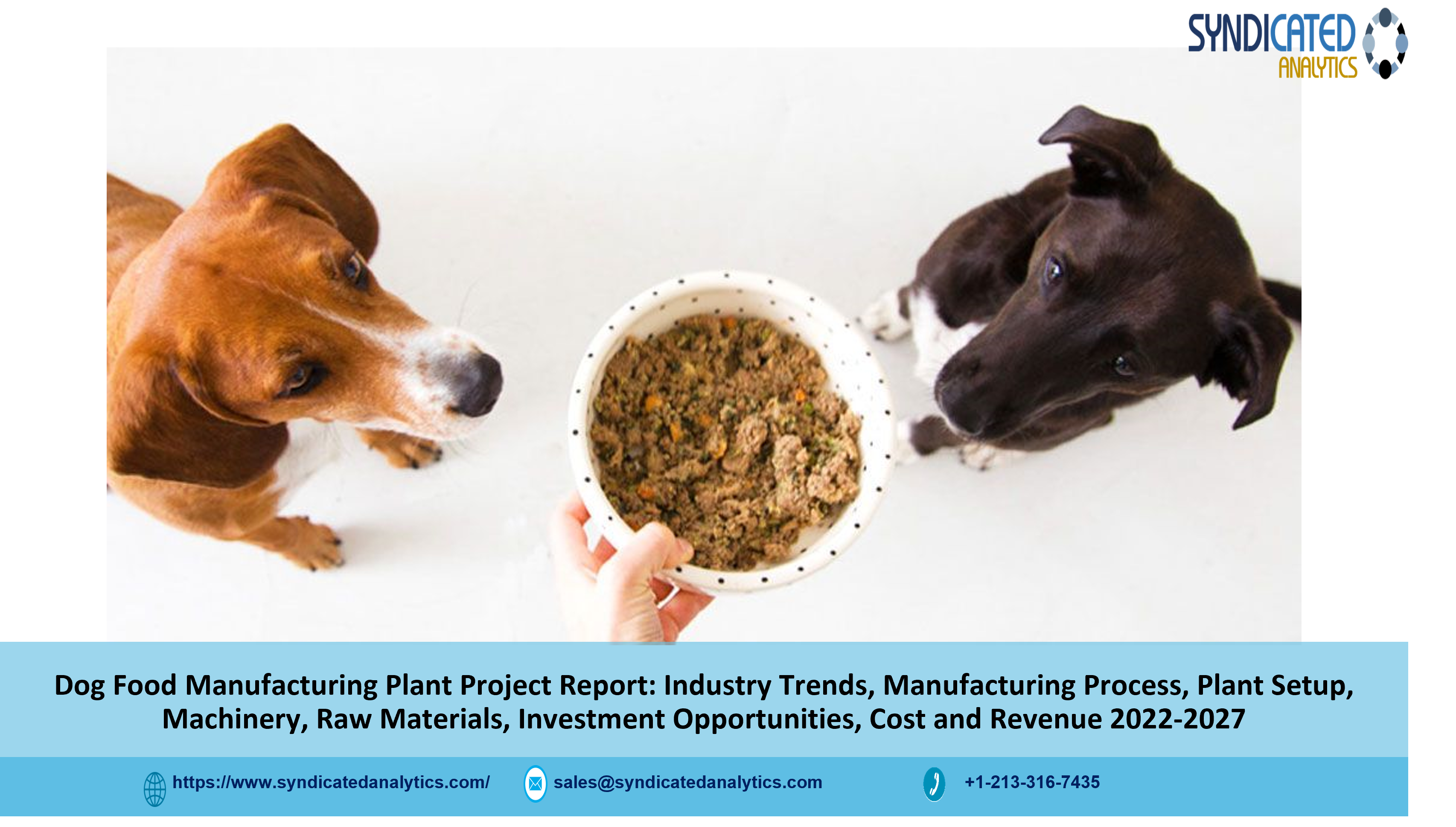 Project Report on Dog Food Manufacturing Plant