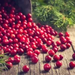 Go Away From Pain with Cranberries