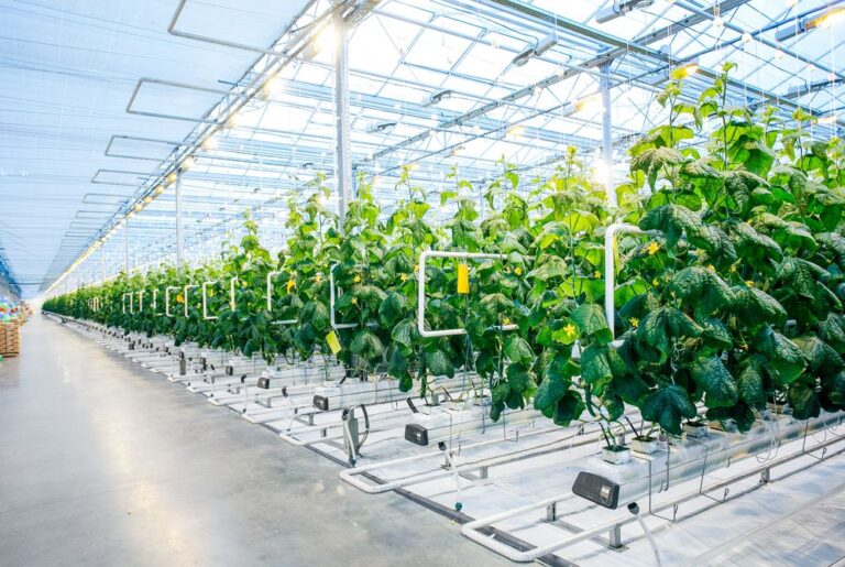 Indoor Farming Market