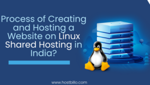 creating and hosting a website on linux shsred server in india