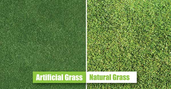 Artificial Grass Vs Natural Grass